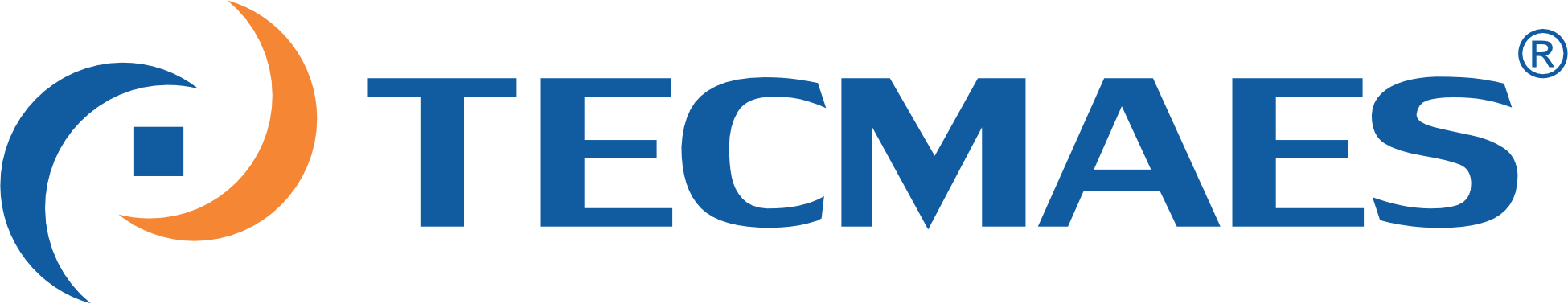 TECMAES logo